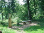 Sitzplatz mit Info-Tafel "Wald" auf dem Waldrundgang Pflanzerholz