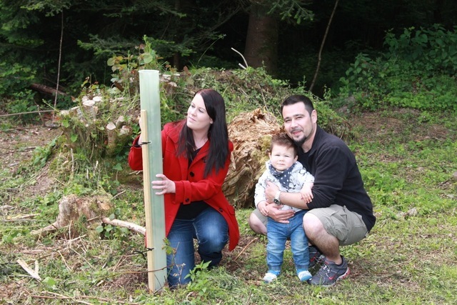 Waldumgang Eggenwil 2015 - Familie Topuz bezeichnet den Geburtsbaum für ihren Sohn Jeremy. Bild: BBA/Ruth Meier Waldumgang Eggenwil 2015 - Familie Topuz bezeichnet den Geburtsbaum für ihren Sohn Jeremy. Bild: BBA/Ruth Meier