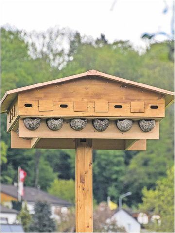 Bisher einmalig in der Region: Das Hotel für Schwalben, Mauersegler und Fledermäuse in Eggenwil. Bild: AZ/04.05.2015/Toni Widmer