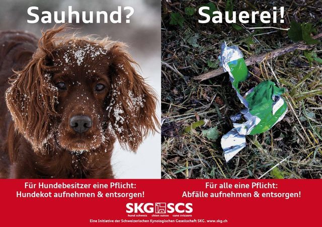 «Sauhund» – eine Initiative der Schweizerischen Kynologischen Gesellschaft SKG «Sauhund» – eine Initiative der Schweizerischen Kynologischen Gesellschaft SKG