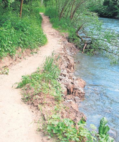 Die Dynamik spielt im Foort Eggenwil eine wichtige Rolle. Immer wieder werden Teile des Wanderweges weggespühlt. Bild: BBA 05.02.2019/zg (Privatarchiv Roger Wetli, Mai 2015)