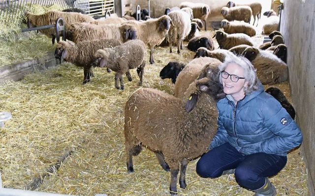 Elisabeth Guggisberg mit einem Lämmchen, das sie mit der Flasche aufgezogen hat, weil es von seiner Mutter verstossen worden ist. Bild: AZ Freiamt 14.03.2019/Toni Widmer