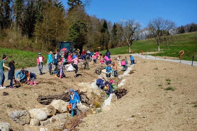 Im Frühling 2019 wirkten die Eggenwiler Schülerinnen und Schüler mit Freude und Engagement bei&nbsp;der Umgebungsbepflanzung des renaturierten Ibisguetbachs mit. Bild:&nbsp;Frederik&nbsp;Pedersen/28.03.2019