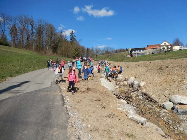 Pflanzaktion mit der Schule Eggenwil am offengelegten und renaturierten Ibisguetbach vom 28.03.2019. Bild: GK/bü