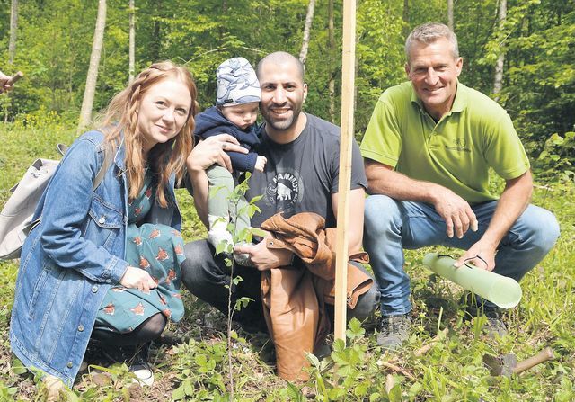 Lena und Faisel Arfaovi pflanzten zusammen mit Revierförster Urs Huber eine Flatter-Ulme für ihr Baby Adam. Bild: BBA 21.05.2019/Roger Wetli