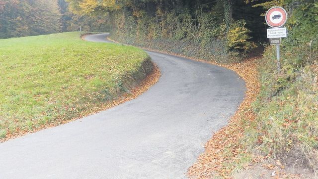 Auf der Gyrenstrasse zwischen Eggenwil und Widen wird über eine Woche lang kein Durchkommen mehr sein. Bild: BBA 23.08.2019/zg