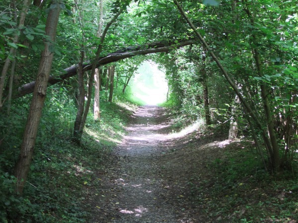Unterwegs auf dem Freiämterweg - Etappenziel bei Fähre Sulz-Künten (Bild: BBA 20.07.2012) Unterwegs auf dem Freiämterweg - Etappenziel bei Fähre Sulz-Künten (Bild: BBA 20.07.2012)