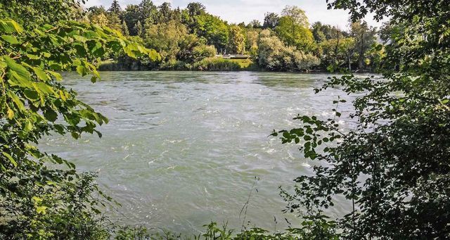 Die Stelle zwischen Fischbach-Göslikon und Künten-Sulz erachten die Gemeinden als ideal für einen Steg. Bild: AZ 19.07.2018/Archiv/Toni Widmer