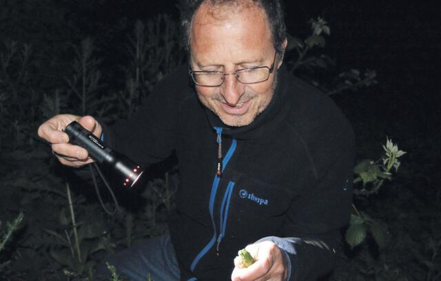 Biologe Christoph Flory zählt die Laubfrösche mit der Taschenlampe und über das Gehör. Bild: BBA 29.05.2020/Roger Wetli