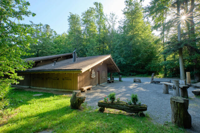 Waldhütte Eggenwil