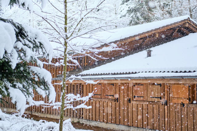 Waldhütte Eggenwil im Winter 2018/2019. Bild: Frederik Pedersen