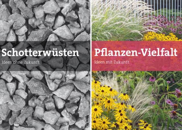 Pflanzenvielfalt anstatt Schotterwüsten zur Förderung der Biodiversität