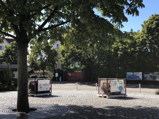 Aktionen wie das Einsammeln von weggeworfenem Abfall und das anschliessende Präsentieren auf dem Dorfplatz – hier am Clean-Up-Day 2019 – sind Teil des «No Littering-Labels». Bild: BBA 30.03.2021/zg/Archiv (13.09.2019)