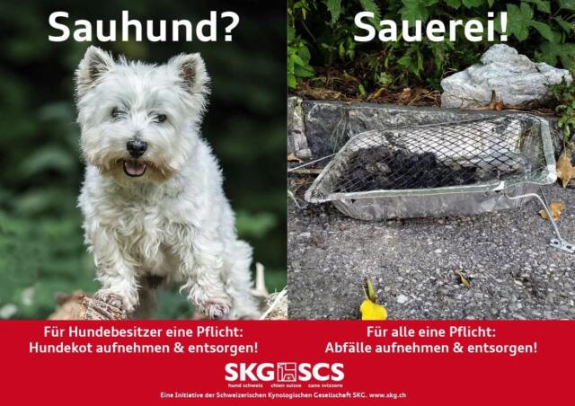 «Sauhund? – Sauerei!» – Eine Initiative der Schweizerischen Kynologischen Gesellschaft SKG