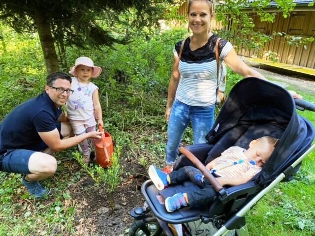 Auch Manuel und Manuela Weber-Wey pflanzten zusammen mit ihrer Tochter Emilia Christine und Revierförster Urs Huber eine Stechpalme für ihren Sohn Julian Andrin im Kinderwagen. Bild: Gemeinderat und Ressortvorsteher Wald André Heinrich/18.09.2021