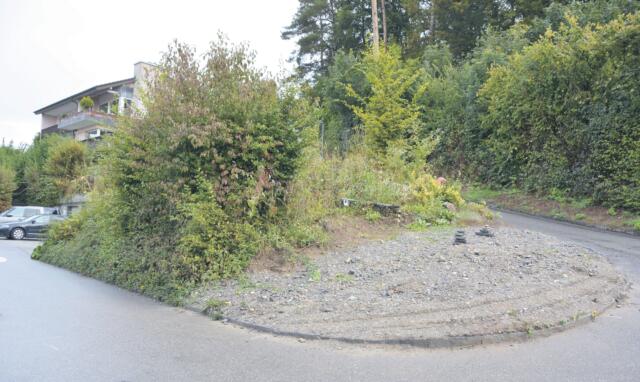Auf dieser Kiesfläche soll künftig ein Brunnen stehen. Links davon ist eine Trafostation geplant. Bild: BBA 12.10.2021/Roger Wetli