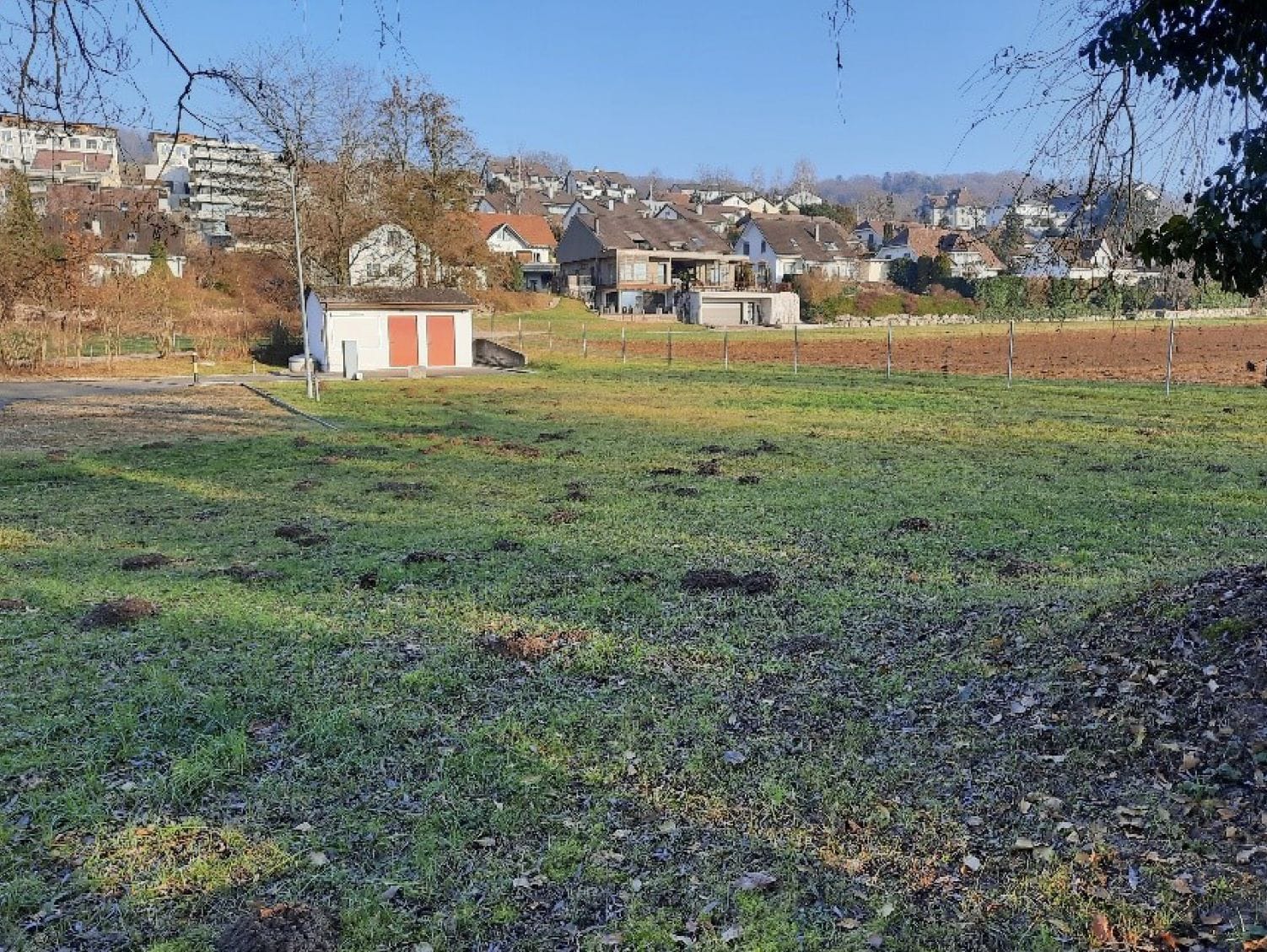 Die Gemeinde stellt die Grünfläche beim Abwasserpumpwerk Steiächer für das Naturschutzprojekt von BirdLife zur Verfügung.
