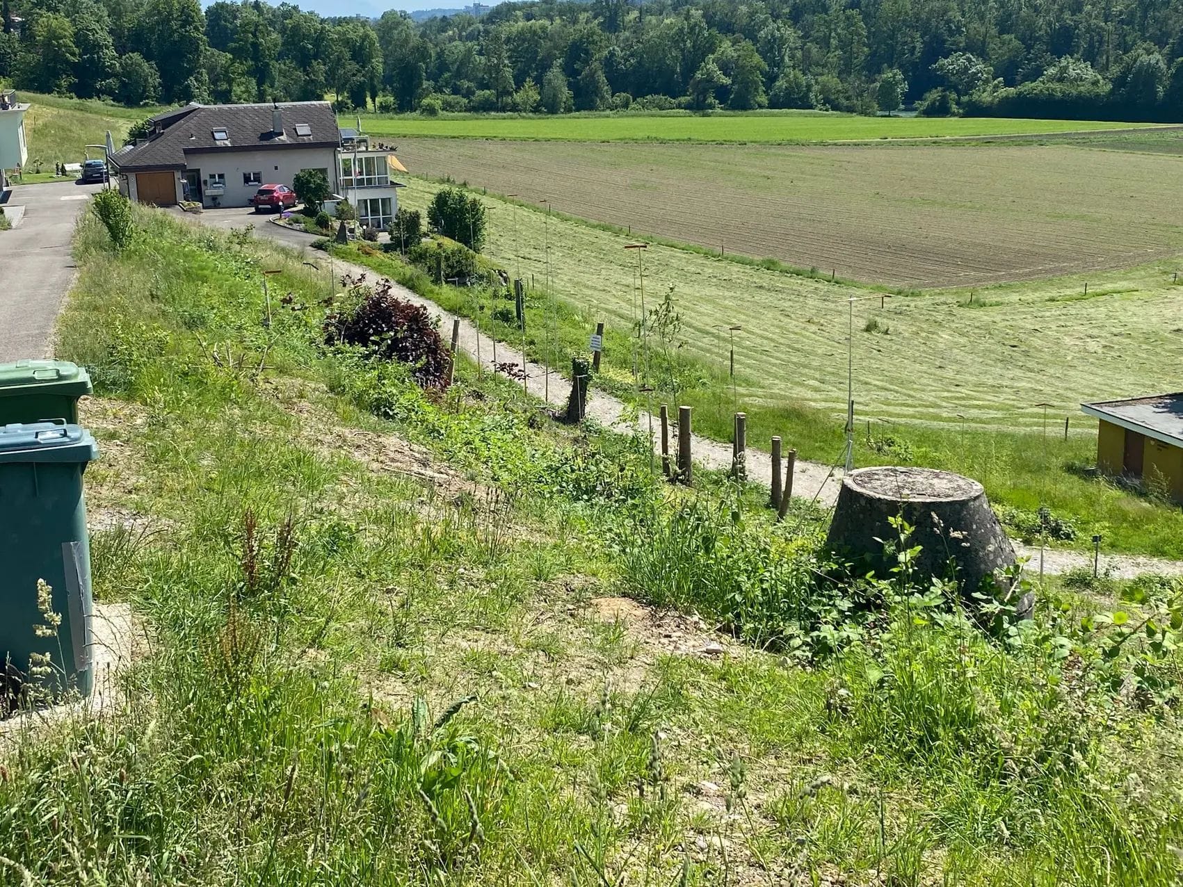 Die Bauprofile sind ausgesteckt am Erlismattweg in Eggenwil. Bild: AZ Freiamt 01.06.2023/Marc Ribolla