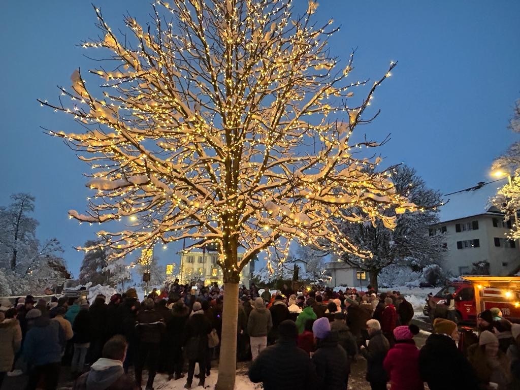 Inzwischen schmücken während der Adventszeit 4320 einzelne LED-Lämpchen den Kastanienbaum auf dem Eggenwiler Dorfplatz. Bild: GR André Heinrich/03.12.2023