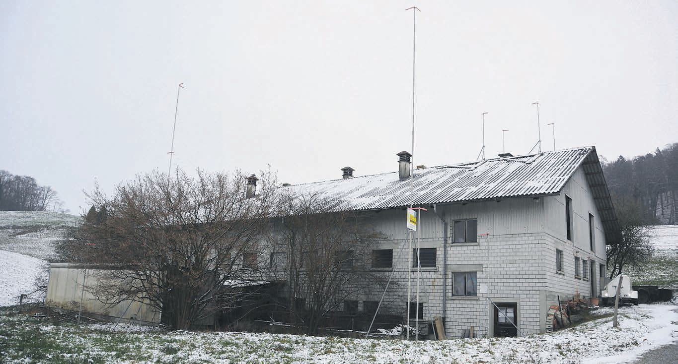 An der Stelle der ehemaligen Schweinemästerei in Eggenwil soll bald eine Produktionshalle mit Büros und einer Attikawohnung entstehen. Bild: BBA 30.01.2024/Roger Wetli