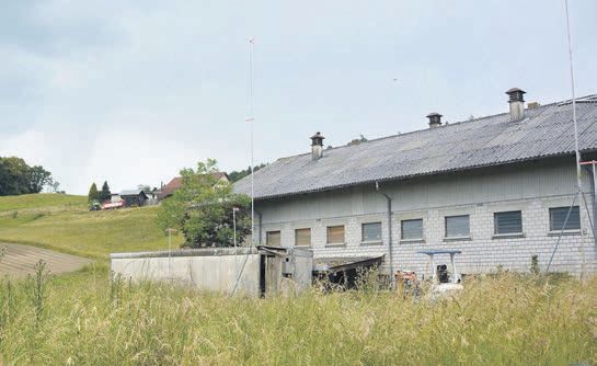 Auch die Parzelle 485 gehört zum geplanten Erschliessungsgebiet. Bild: BBA 07.06.2024/Sabrina Salm