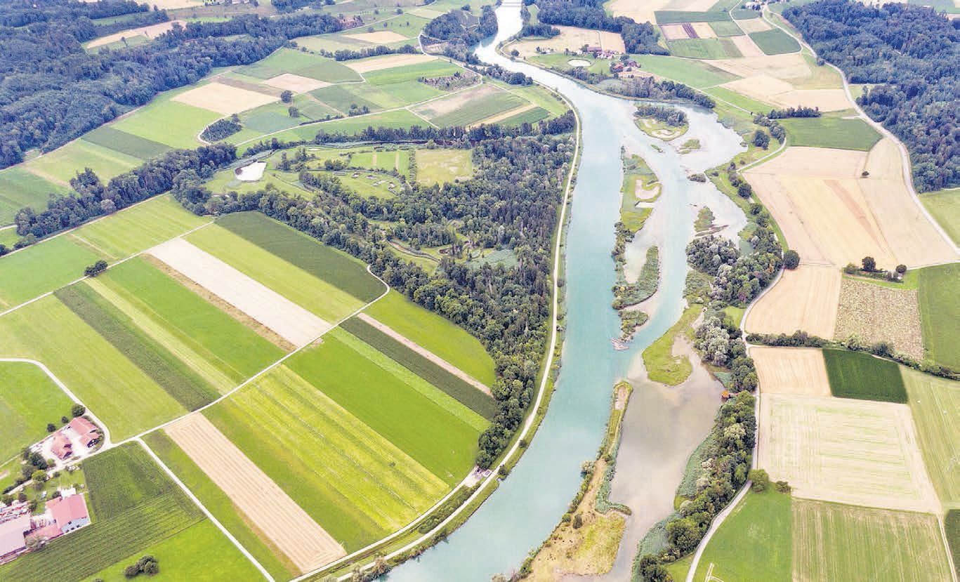Der Flachsee entstand mit dem Aufstau der Reuss im Jahr 1975, er ist eine raffinierte Kombination von künstlich angelegtem Gewässer und neuem natürlichem Lebensraum für Wasservögel und selten gewordenen Pflanzen. Bild: BBA 05.09.2025/Oekovision GmbH, Widen / Erich Kessler, Stiftungsrat, Stiftung Reusstal
