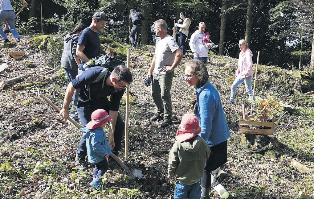 Beim Baumpflanzen für die jüngsten Eggenwilerinnen und Eggenwiler helfen alle mit. Bild: BBA 19.09.2025/Stefan Treier